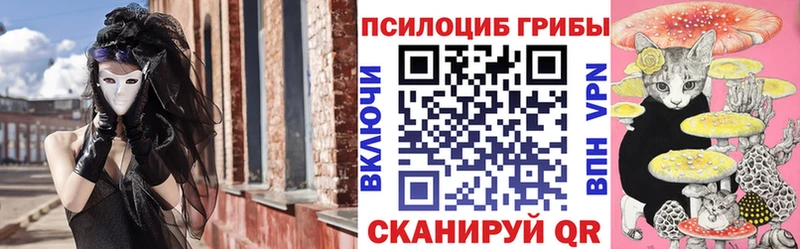 Галлюциногенные грибы мицелий Купить закладки Вологда